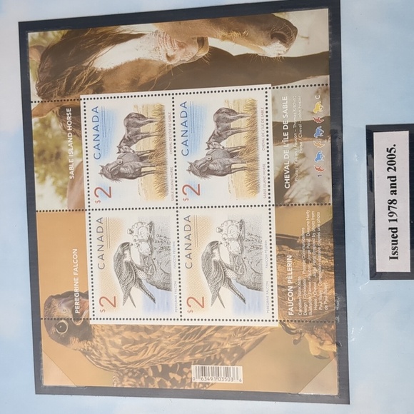 Peregrine Falcon Stamp Collection - Picture 4 of 6